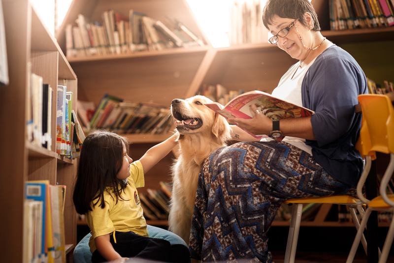Illustration for article titled Las mejores fotos de perros del año, según un concurso que elige las mejores fotos de perros del año